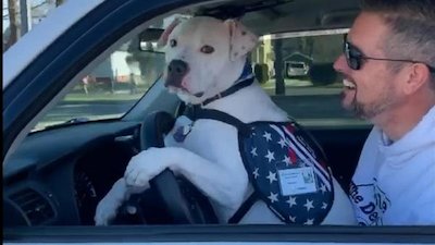 Good Morning America Season 45 Episode 94