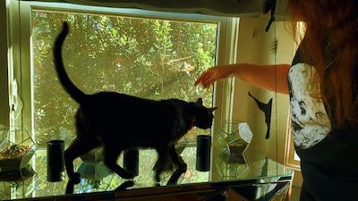 Good Morning America Season 45 Episode 114