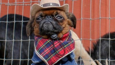 Good Morning America Season 45 Episode 122