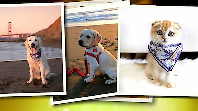 Good Morning America Season 45 Episode 234