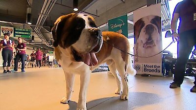 Good Morning America Season 46 Episode 238