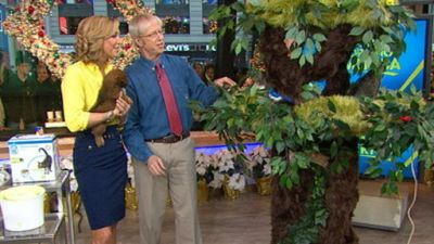 Good Morning America Season 36 Episode 260