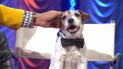Good Morning America Season 37 Episode 40