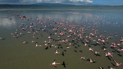 Good Morning America Season 41 Episode 38