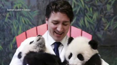 Good Morning America Season 41 Episode 50