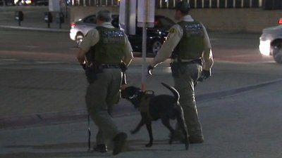 Good Morning America Season 41 Episode 243