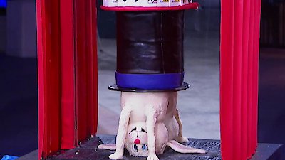 Last Cake Standing Season 2 Episode 4