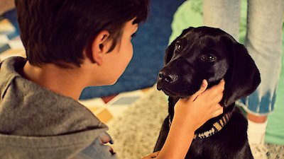 Puppy Place Season 1 Episode 2