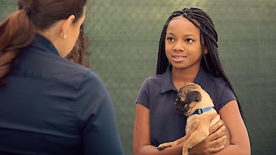Puppy Place Season 1 Episode 5