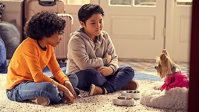 Puppy Place Season 1 Episode 6