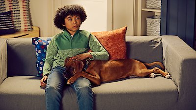 Puppy Place Season 1 Episode 7