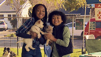 Puppy Place Season 2 Episode 2