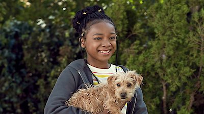 Puppy Place Season 2 Episode 3