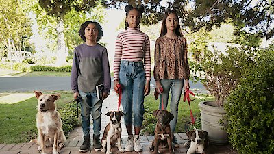 Puppy Place Season 2 Episode 4