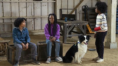 Puppy Place Season 2 Episode 7