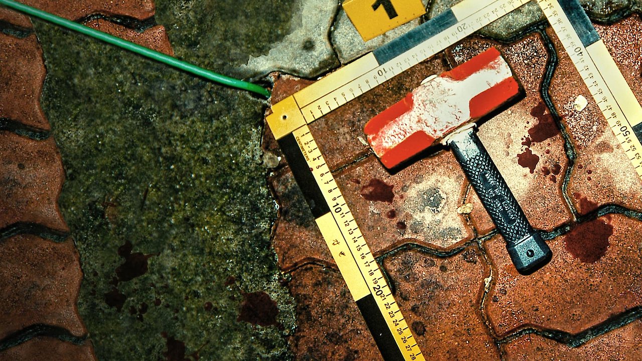 The Raincoat Killer: Chasing a Predator in Korea