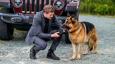 Hudson & Rex Season 4 Episode 7