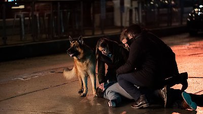 Hudson & Rex Season 5 Episode 20