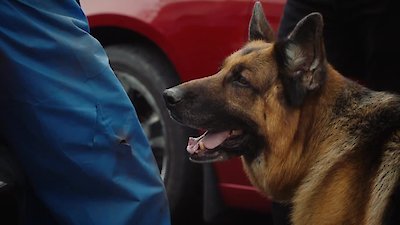 Hudson & Rex Season 6 Episode 3