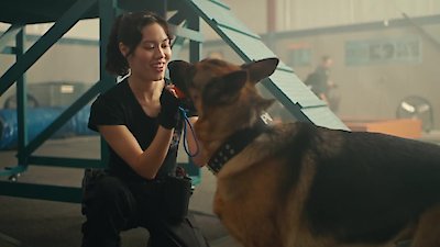 Hudson & Rex Season 7 Episode 4