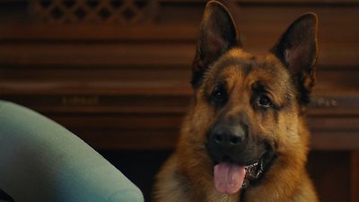 Hudson & Rex Season 7 Episode 5