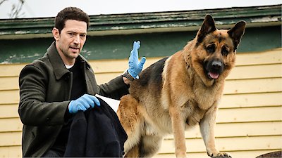 Hudson & Rex Season 8 Episode 4