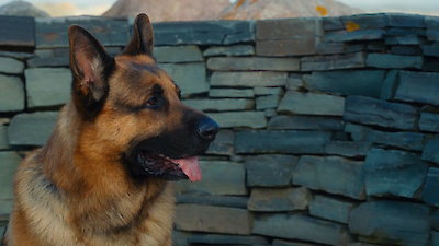 Hudson & Rex Season 8 Episode 12