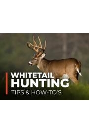 Whitetail Hunting Tips & How-To's