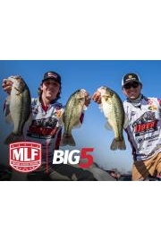MLF BIG5 Championship Specials