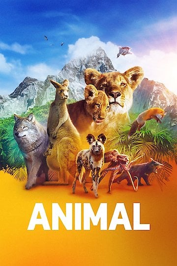 Watch Animal Streaming Online - Yidio