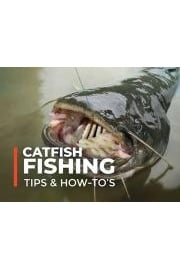 Catfish Fishing Tips & How-To's