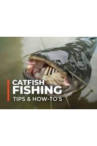 Catfish Fishing Tips & How-To's