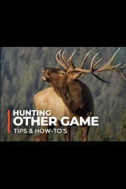 Hunting - Other Game Tips & How-To's