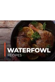 Waterfowl Recipes
