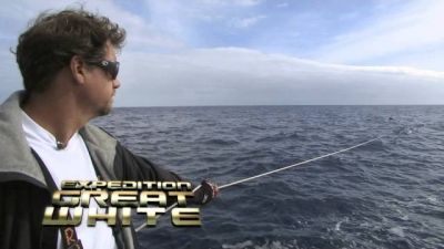 Shark Men Season 1 Episode 4