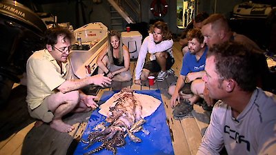 Shark Men Season 2 Episode 9