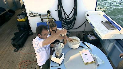 Shark Men Season 2 Episode 10