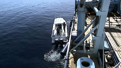 Shark Men Season 1 Episode 8