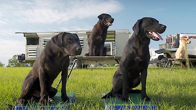 Man, Woman, Dog Season 1 Episode 5