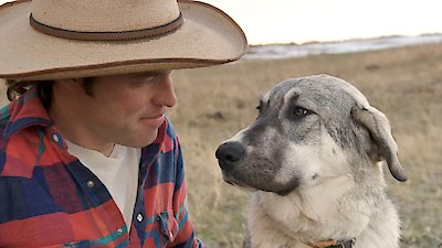 Man, Woman, Dog Season 1 Episode 6