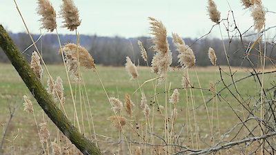Taking the Stand Season 1 Episode 10