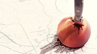 The Real Murders of Atlanta - Caught in the Crossfire