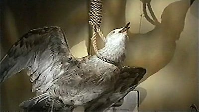 Remember WENN Season 3 Episode 15