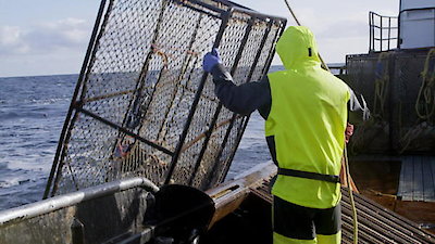 Deadliest Catch Season 16 Episode 4