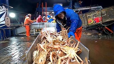 Deadliest Catch Season 17 Episode 22