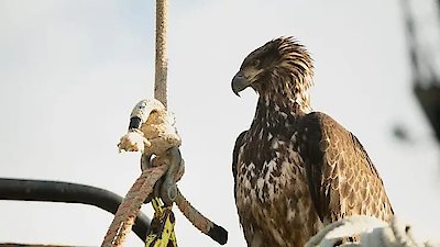 Deadliest Catch Season 18 Episode 11