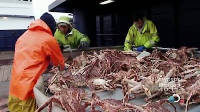 Deadliest Catch Season 7 Episode 6