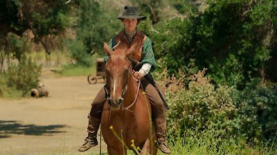 Roar Season 1 Episode 8