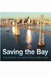 Saving the Bay