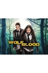 Wolfblood: Series